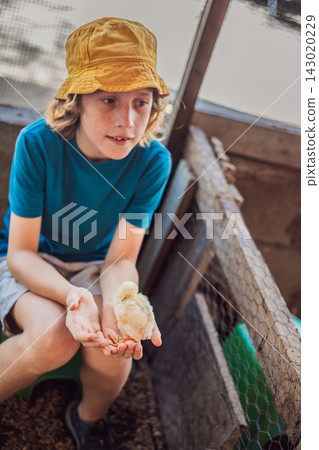 Child holds a chick during a hands on animal learning experience. Hands on learning and animal education. Child holds a chick during a hands on animal learning experience. Hands on learning and animal education. 143020229