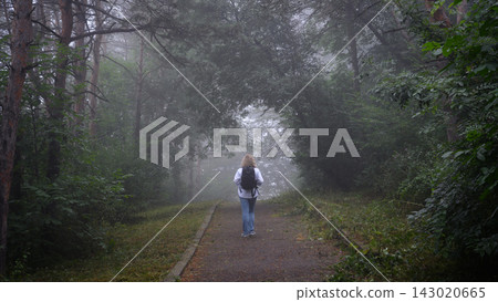Woman with a backpack walking on a path in a foggy forest. Rear view of a female person exploring misty woods. Outdoor adventure and travel concept Woman with a backpack walking on a path in a foggy forest. Rear view of a female person exploring misty woods. Outdoor adventure and travel concept 143020665