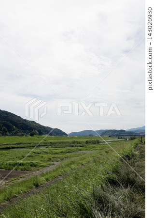 The Ushirogawa River in Shimanto City, Kochi Prefecture. A lush, green tributary of the Shimanto River. The Ushirogawa River in Shimanto City, Kochi Prefecture. A lush, green tributary of the Shimanto River. 143020930