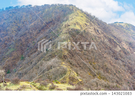 冬季,從不動峰延伸到丹澤山的山脊線景色優美。 冬季,從不動峰延伸到丹澤山的山脊線景色優美。 143021083