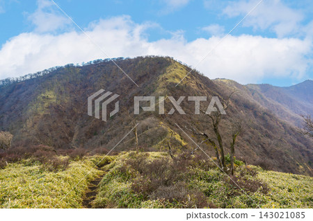 冬季，從不動峰延伸到丹澤山的山脊線景色優美。 143021085