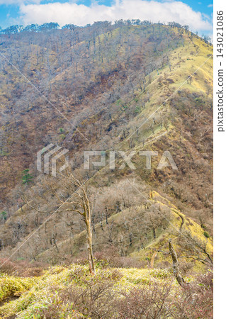 冬季,從不動峰延伸到丹澤山的山脊線景色優美。 冬季,從不動峰延伸到丹澤山的山脊線景色優美。 143021086