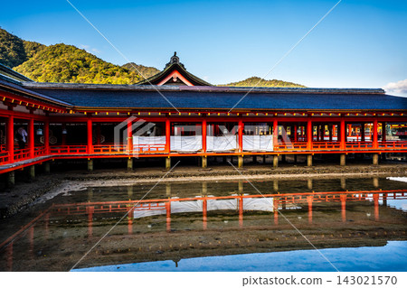 Morning scenery at Itsukushima Shrine, a national treasure and World Heritage Site [Hatsukaichi City, Hiroshima Prefecture] 143021570