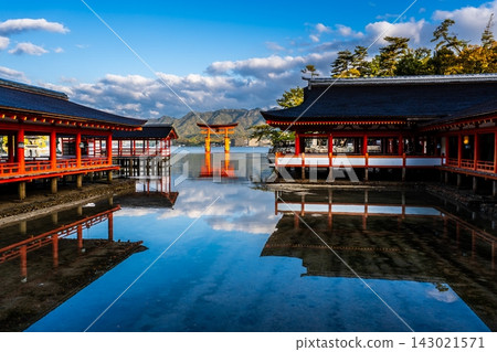 嚴島神社的清晨景色，這裡是國寶和世界遺產[廣島縣初日市市] 143021571