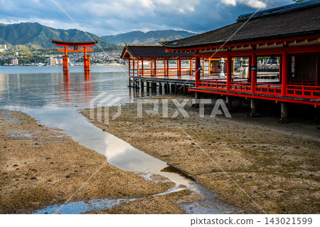 嚴島神社的清晨景色，這裡是國寶和世界遺產[廣島縣初日市市] 143021599