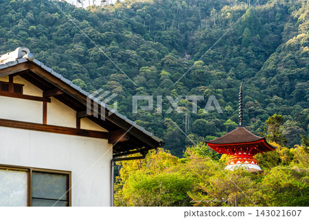 嚴島神社的清晨景色，這裡是國寶和世界遺產[廣島縣初日市市] 143021607