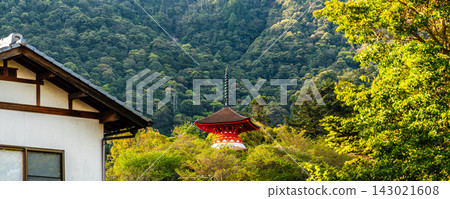 清晨的嚴島神社（國寶、世界遺產）：全景 [廣島縣初日市市] 143021608