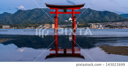 Morning view of Itsukushima Shrine, a National Treasure and World Heritage Site: Panorama [Hatsukaichi City, Hiroshima Prefecture] 143021699