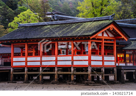 Morning scenery at Itsukushima Shrine, a national treasure and World Heritage Site [Hatsukaichi City, Hiroshima Prefecture] 143021714