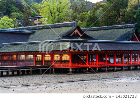 Morning scenery at Itsukushima Shrine, a national treasure and World Heritage Site [Hatsukaichi City, Hiroshima Prefecture] 143021728