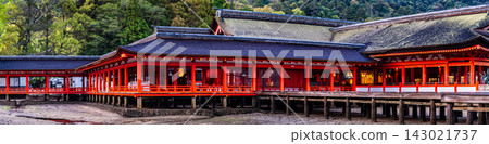 清晨的嚴島神社（國寶、世界遺產）：全景 [廣島縣初日市市] 143021737