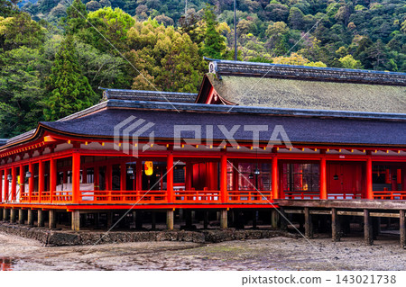 嚴島神社的清晨景色，這裡是國寶和世界遺產[廣島縣初日市市] 143021738