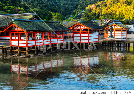 嚴島神社的清晨景色，這裡是國寶和世界遺產[廣島縣初日市市] 143021759