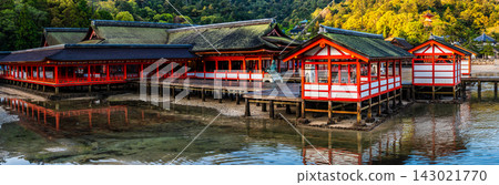 清晨的嚴島神社（國寶、世界遺產）：全景 [廣島縣初日市市] 143021770