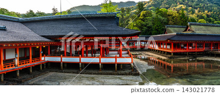 Morning view of Itsukushima Shrine, a National Treasure and World Heritage Site: Panorama [Hatsukaichi City, Hiroshima Prefecture] 143021778