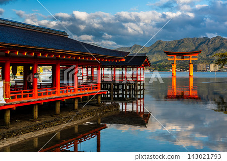 嚴島神社的清晨景色，這裡是國寶和世界遺產[廣島縣初日市市] 143021793