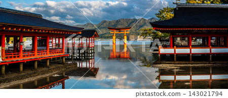 清晨的嚴島神社（國寶、世界遺產）：全景 [廣島縣初日市市] 143021794