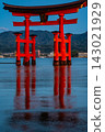 Dawn at Itsukushima Shrine, a National Treasure and World Heritage Site [Hatsukaichi City, Hiroshima Prefecture] 143021929