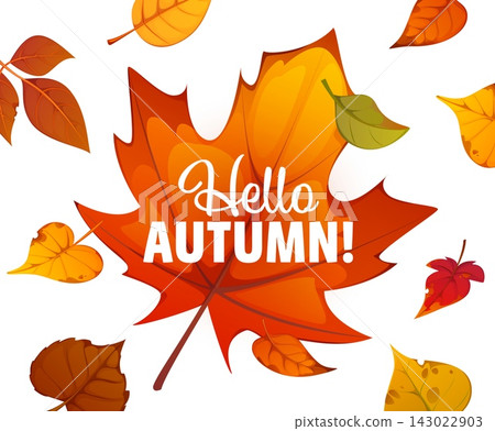 Hello autumn seasonal invitation card or cover Hello autumn seasonal invitation card or cover 143022903