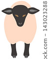 Suffolk sheep - forward-facing 143023288