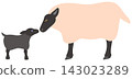 Suffolk sheep - mother and calf 143023289