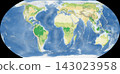 World Plant Map: Equal Earth Projection 143023958