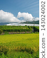 The Tokaido Shinkansen N700S runs through the countryside at the foot of Mt. Ibuki 143024002