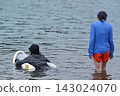 A man and a girl, both wearing swimsuits and backpacks, are swimming in the bay. A man and a girl, both wearing swimsuits and backpacks, are swimming in the bay. 143024070
