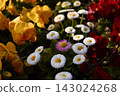 Colorful flowers 143024268