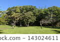 充滿自然氣息的公園 143024611