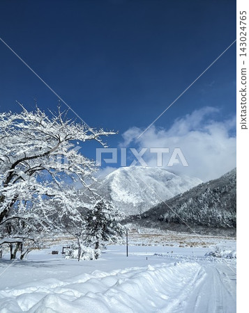 通往雪山的路 143024765