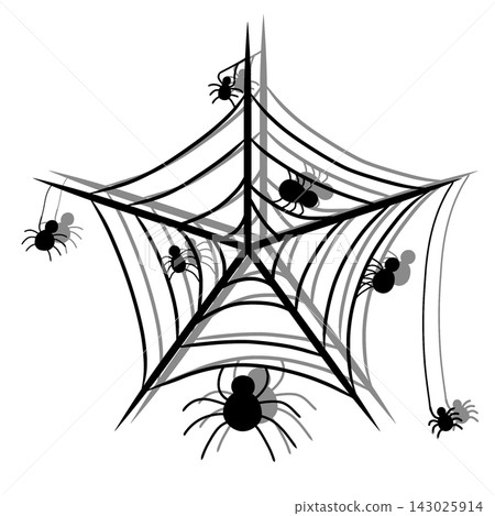Spider Web With Spider And Insects 143025914