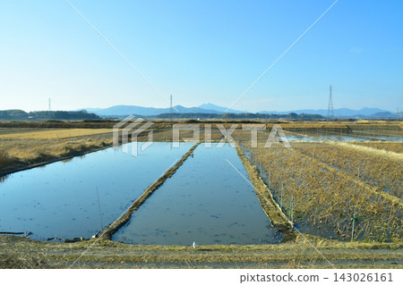 Scenery along the JR East Joban Line (Winter 2023) Scenery along the JR East Joban Line (Winter 2023) 143026161
