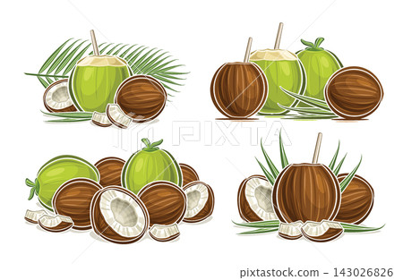 Vector logos set for Coconut Milk 143026826
