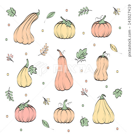 An autumn set of pumpkins in pastel colors. Vector illustration hand-drawn in a flat style. Perfectly for Thanksgiving day, Halloween, greeting cards and posters. 143027419