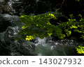 Hakuba-dake of the remaining snow 143027932