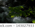 Hakuba-dake of the remaining snow 143027933