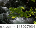 Hakuba-dake of the remaining snow 143027934
