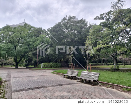 豐橋公園綠樹成蔭的步道和長椅為城市中增添了一抹自然輕鬆的景象。 豐橋公園綠樹成蔭的步道和長椅為城市中增添了一抹自然輕鬆的景象。 143028623