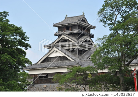The Uto Turret of Kumamoto Castle, beautifully framed by the fresh greenery. The Uto Turret of Kumamoto Castle, beautifully framed by the fresh greenery. 143028637