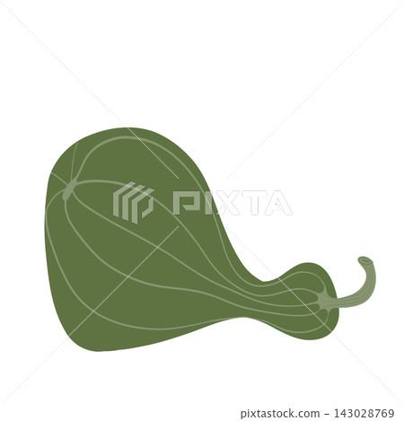 Butternut squash isolated on transparent background Butternut squash isolated on transparent background 143028769