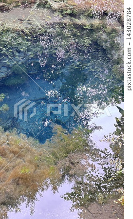 藍河 藍河 143028784