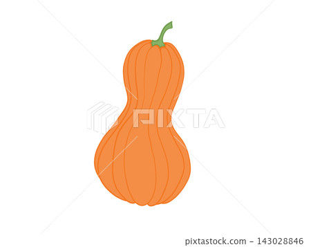 Orange butternut squash on white background Orange butternut squash on white background 143028846
