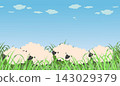 An illustration of cute sheep in a grassland. 143029379