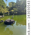 A grey heron perched on a rock in a green pond. 143030543