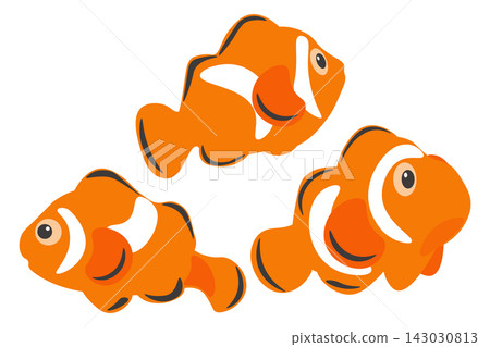A set of cute clownfish variations illustrations A set of cute clownfish variations illustrations 143030813