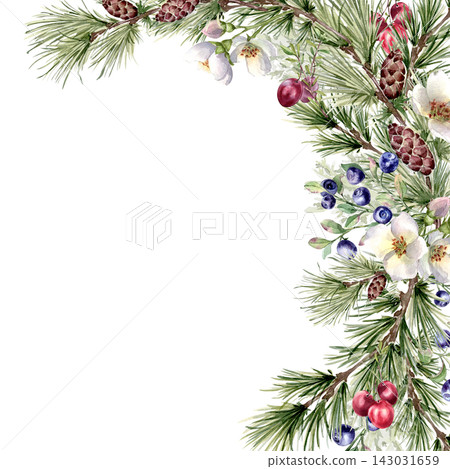 Elegant winter evergreens border watercolor isolated. Forest nordic berries and cedar branches with cones and white flowers hand drawn. Seasonal holiday frame with copy space. New Year greeting card. 143031659
