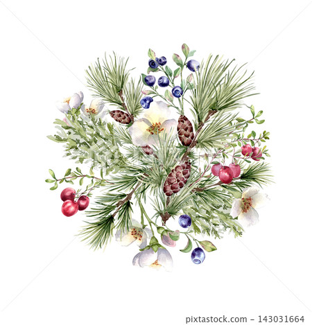 Watercolor Christmas greenery and white flowers all over circle isolated. Pine needles, cones,red and blue berries illustration hand drawn. Winter festive botanical round for design cards or label. Watercolor Christmas greenery and white flowers all over circle isolated. Pine needles, cones,red and blue berries illustration hand drawn. Winter festive botanical round for design cards or label. 143031664
