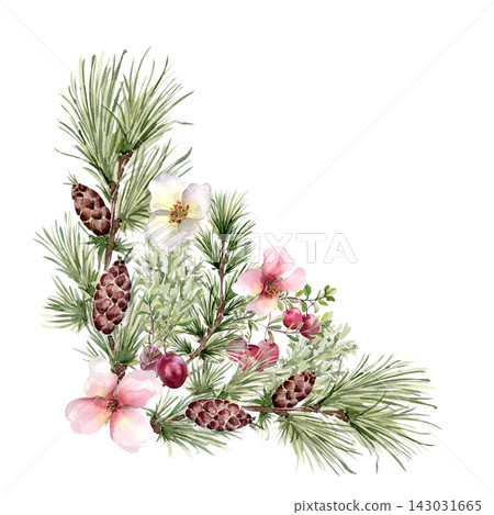 Pine sprigs, fir cones, red berries, and pink flowers watercolor illustration isolated. Elegant winter floral corner arrangement hand painted. Cranberry and evergreen elements for Christmas design. Pine sprigs, fir cones, red berries, and pink flowers watercolor illustration isolated. Elegant winter floral corner arrangement hand painted. Cranberry and evergreen elements for Christmas design. 143031665