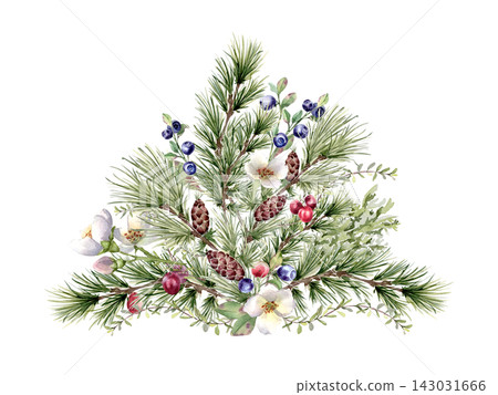 Beauty winter foliage with berry and flowers isolated. Watercolor pine with cones, blueberries, lingonberries and white blooms hand drawn. Festive botanical design for holiday card or Christmas label. Beauty winter foliage with berry and flowers isolated. Watercolor pine with cones, blueberries, lingonberries and white blooms hand drawn. Festive botanical design for holiday card or Christmas label. 143031666
